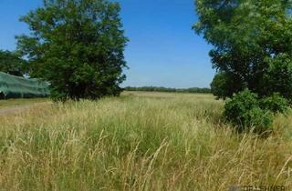 Grundstück zu kaufen in 19309 Lanz, Großzügiges Baugrundstück in ruhiger Lage