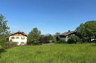 Grundstück zu kaufen in 83454 Anger, Baugrundstück mit ca. 525 m² für eine Doppelhaushälfte in Vachenlueg