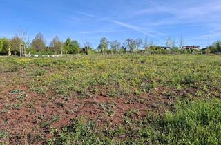 Grundstück zu kaufen in 96163 Gundelsheim, Attraktiver Bauplatz für EFH in ruhiger Lage in Gundelsheim