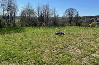 Grundstück zu kaufen in 94269 Rinchnach, Baugrundstück mit Fernblick in Rinchnach