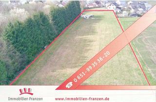 Grundstück zu kaufen in 54429 Heddert, Großzügiges, voll erschlossenes Baugrundstück mit weitläufiger Grünfläche – 4.880 m² Grundstücksfläc