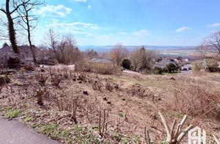 Grundstück zu kaufen in 34305 Niedenstein, sehr ruhiges, sonniges Baugrundstück mit Fernblick in Niedenstein, direkt am Waldrand