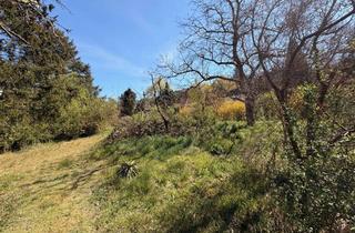 Grundstück zu kaufen in 15741 Bestensee, ruhiges Baugrundstück in Bestlage – 788 m² mit Bauvorbescheid - Bestensee OT Pätz