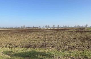 Immobilie kaufen in 49565 Bramsche, 30.465 m² Landwirtschaftsfläche in Bramsche-Kalkriese gegen Höchstgebot zu verkaufen