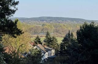Gewerbeimmobilie kaufen in 16248 Liepe, Hanggrundstück eine Stunde von Berlin - Baurecht, großer Gartenanteil, freier Blick ins Oderbruch