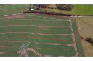 Gewerbeimmobilie mieten in 34431 Marsberg, Ca. 3,5 ha Ackerland in Marsberg-Udorf