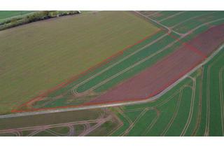 Gewerbeimmobilie kaufen in 34431 Marsberg, Ca. 3,5 ha Ackerland in Marsberg-Udorf