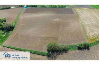 Gewerbeimmobilie kaufen in 86701 Rohrenfels, 4,5 Hektar Ackerfläche zum Verkauf im Bieterverfahren