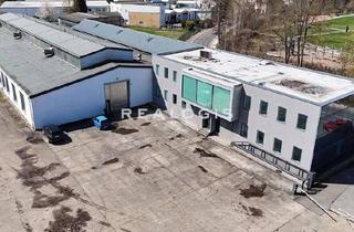 Gewerbeimmobilie mieten in 09669 Frankenberg, Frankenberg | ca. 2.800 m² Produktions- & Lagerfläche | Schwenkkran