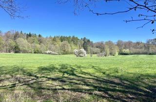 Grundstück zu kaufen in 24582 Bordesholm, Meine eigene "Auszeit" Koppel