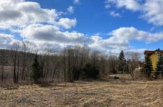 Grundstück zu kaufen in 37444 St. Andreasberg, Großzügiges Entwicklungsgrundstück im Herzen des Harzes – 12.100 m² in St. Andreasberg