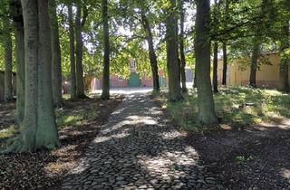 Lager kaufen in 27777 Ganderkesee, Reizvoller Resthof zu verkaufen