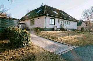 Einfamilienhaus kaufen in 29646 Bispingen, Bispingen - großes Einfamilienhaus mit Ferienwohnung und großem Garten