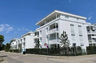 Wohnung mieten in Schulstraße 7a, 86551 Aichach, Betreutes Wohnen ab 60, Erstbezug 2 ZKB mit Südbalkon, im Herzen von Aichach