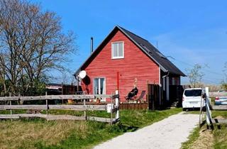 Haus kaufen in 14550 Groß Kreutz, Ländliches Schwedenhaus mit Havelnähe im Umland von Werder