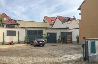 Gewerbeimmobilie mieten in 65346 Eltville, Vielseitig nutzbare Halle mit Hoffläche in Eltville, Erbach