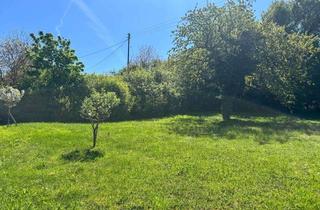 Grundstück zu kaufen in Brettener Straße, 75447 Sternenfels, Sternenfels: Großzügiger Bauplatz - ideal für freistehendes Einfamilienhaus