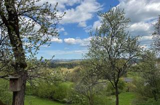 Wohnung mieten in Alte Strasse 94, 94034 Grubweg, Helle 3-Zimmer Wohnung mit Terrasse und Garten