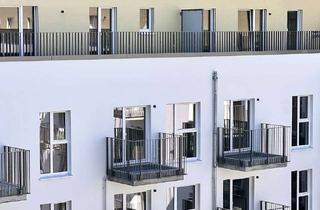 Wohnung mieten in Heldburger Straße, 13055 Alt-Hohenschönhausen, Die letzte Chance: Exklusive Dachgeschosswohnung mit zwei Terrassen im Neubau