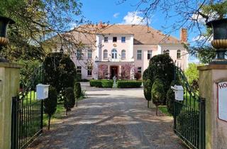 Anlageobjekt in 19374 Friedrichsruhe, Attraktives Schloss in Mecklenburg - Nähe Schwerin mit Schlosspark und Teich - vielfältig nutzbar