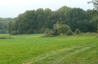 Haus kaufen in 17337 Uckerland, Uckerland - Alleinlage mit 100 qm Haus, Scheunen und 92 Hektar Land