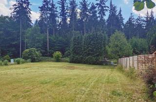 Immobilie kaufen in 23845 Seth, Sonniges Baugrundstück in ruhiger Waldrandlage von Sülfeld-Borstel