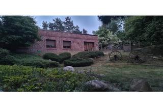 Haus kaufen in 27793 Wildeshausen, Wildeshausen - Einfamiliehaus mit 3000 m² Grundstück - kernsaniert