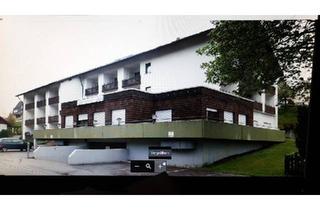 Wohnung kaufen in 78120 Furtwangen, Furtwangen im Schwarzwald - 2 Wohnungen in 78120 Neukirch