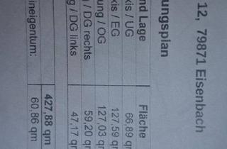 Mehrfamilienhaus kaufen in 79871 Eisenbach, Eisenbach (Hochschwarzwald) - Gewinnsteigernde Immobilie als Kapitalanlage zu verkaufen