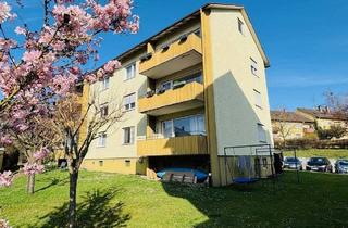Wohnung kaufen in 78476 Allensbach, Allensbach - Modernisierte 3,5-Zimmer-Wohnung mit 2 Balkonen
