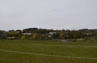 Bauernhaus kaufen in 55743 Idar-Oberstein, Idar-Oberstein - Bauernhof ( Bio Betrieb), Gestüt, Reitanlage, Alleinlage