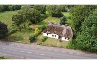 Haus kaufen in 25779 Hennstedt, Hennstedt - Reetdachhaus Reetdach Haus 2.909qm Grundstück von privat
