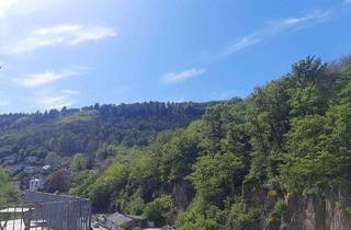 Wohnung kaufen in 69118 Ziegelhausen, Neubau Maisonette mit Charme eines Einfamilienhauses und großer Aussichtsterrasse