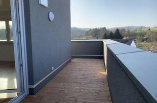 Penthouse mieten in Lessingstraße 39, 64668 Rimbach, Penthouse-Wohnung mit großer Dachterrasse in Rimbach