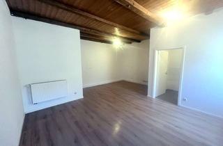 Wohnung mieten in Dekan-Hofmeier-Straße 16, 85283 Wolnzach, Frisch renoviertes 1-Zimmer-Apartment