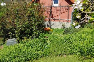 Wohnung mieten in Badener Straße 59, 76227 Durlach, Tiny House in Durlach 28m² + 16 m² Terrasse