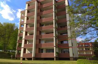 Wohnung mieten in Am Dietersberg 11, 75337 Enzklösterle, Stilvolle und gepflegte 3-Zimmer-Wohnung mit Balkon, Einbauküche und Mobilierung in Enzklösterle