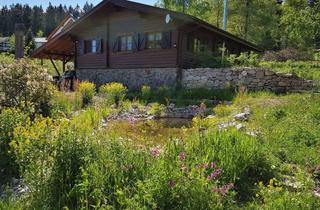 Haus mieten in Hegewiese 35a, 61389 Schmitten, Wunderschönes Holzhaus mit Naturgarten und Carport in Schmitten im Taunus