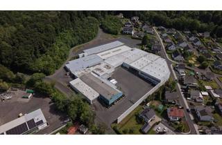 Gewerbeimmobilie mieten in Marienberger Sraße 10, 56470 Bad Marienberg, 8.500 m² Lagerhalle mit 7 LKW-Rolltoren, Hochregalen & Rangierfläche