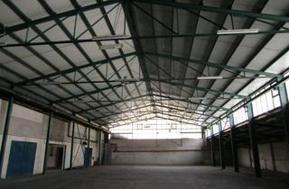Gewerbeimmobilie mieten in Brunnenstr., 72202 Nagold, Lagerhalle 1400qm in Nagold