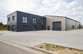Büro zu mieten in 21698 Harsefeld, Gewerbeobjekt mit Büro (300 m²) & Halle (700 m²) zu vermieten