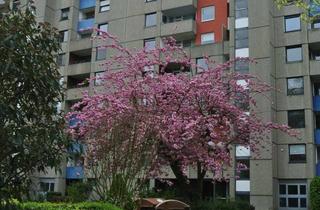 Anlageobjekt in Berliner Straße 15, 40880 Ratingen, Top gepflegter LINDWURM! Barrierefrei! 88 qm, 3-4 Zimmer, 2 Balkone, Gäste-WC, Garage