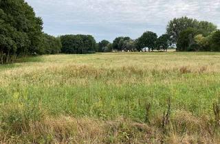 Gewerbeimmobilie kaufen in 15749 Mittenwalde, -Nähe BER-Kiekebusch/ Grundstück für Entwickler und Bauträger (Wohnen und Gewerbe mögl.)