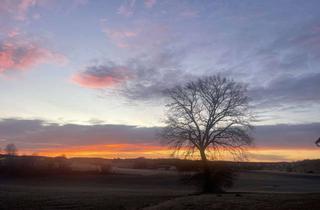 Grundstück zu kaufen in Bahnhofstr., 86486 Bonstetten, Direkt vom Eigentümer (Provisionsfrei!) - Grundstück mit Baugenehmigung