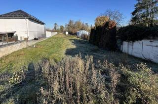 Grundstück zu kaufen in 64572 Büttelborn, unbebautes Grundstück für EFH oder MFH in Klein-Gerau
