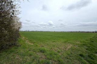 Grundstück zu kaufen in 63110 Rodgau, 6.087 m² Landwirtschaftsfläche Mittlere Gewann auf die Höhe in Rodgau Hainhausen