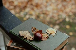 Einfamilienhaus kaufen in 21521 Aumühle, EINFAMILIENHAUS IM HAMPTON-STIL