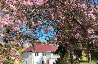 Haus kaufen in 01683 Nossen, Nossen - Leben auf dem Land