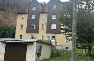 Mehrfamilienhaus kaufen in 98746 Katzhütte, Katzhütte - 8 Familienhaus mit Top Rendite