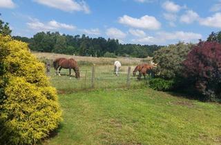 Doppelhaushälfte kaufen in 16515 Oranienburg, Oranienburg - Haus & Grundstück bei Oranienburg Ideal für Familien